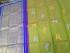 SALEM SILK SAREE WITH BLOUSE